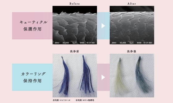 カラーの色味を褪色防止成分がダメージから守っている比較図