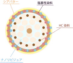 着色（イメージ）説明図